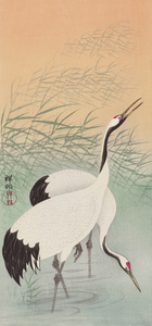 Two cranes 1925 - 1936 by Ohara Koson 1877-1945.