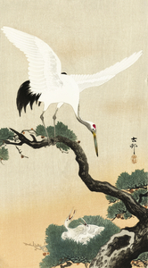 Japanese crane bird on branch of pine 1900 - 1930 by Ohara Koson 1877-1945.