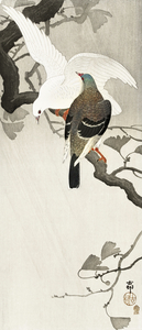 Two pigeons on a branch 1900 - 1910 by Ohara Koson 1877-1945.