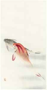 Two carp 1900 - 1930 by Ohara Koson 1877-1945.