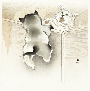 Two playing dogs 1900 - 1930 by Ohara Koson 1877-1945.