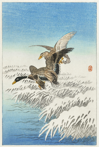 Pair of ducks flying over snowy reed collar 1900 - 1945 by Ohara Koson 1877-1945.