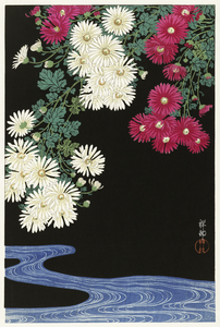 Chrysanthemums 1925-1936 by Ohara Koson 1877-1945.
