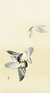 Two fighting birds 1900 - 1936 by Ohara Koson 1877-1945.