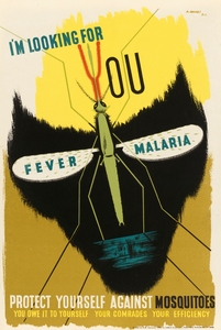 I’m Looking for You – Fever – Malaria