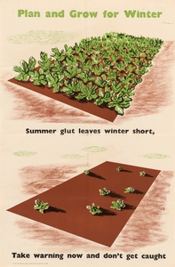 Plan and Grow for Winter – Summer Glut Leaves Winter Short – Take Warning Now and Don’t Get Caught
