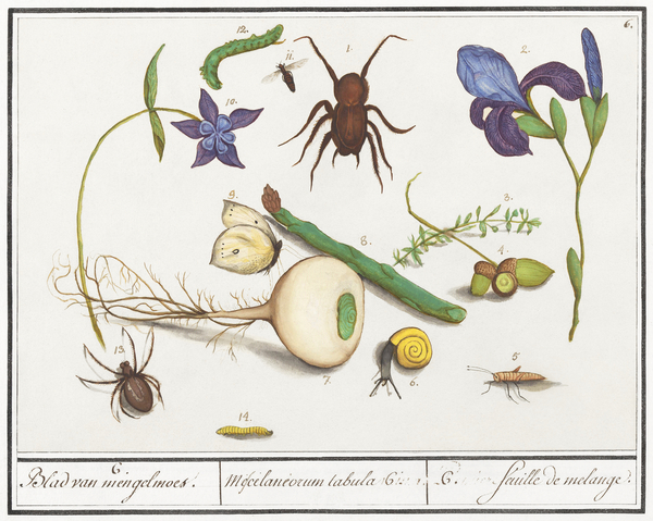 Nature ensemble in vintage style Print