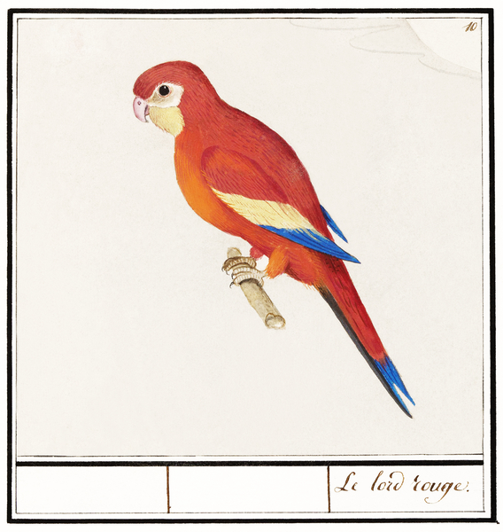 Houting in vintage style Print