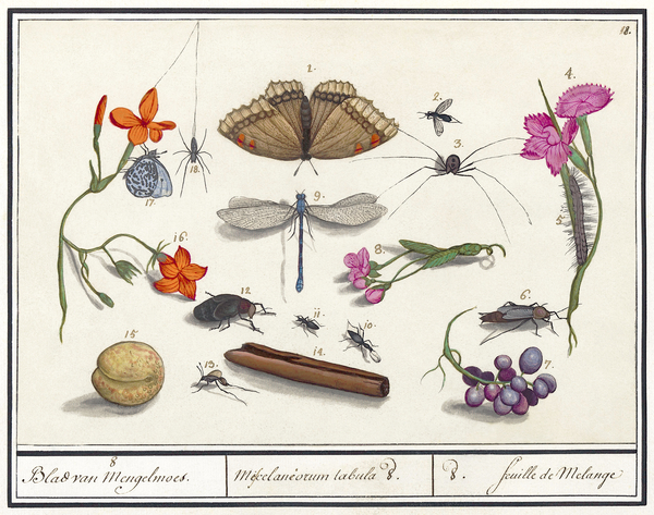 Nature ensemble in vintage style Imprimer