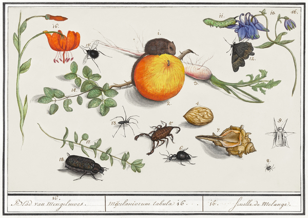 Nature ensemble in vintage style Print