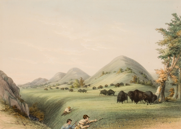 Buffalo Hunt Approaching in a Ravine 1844 Print