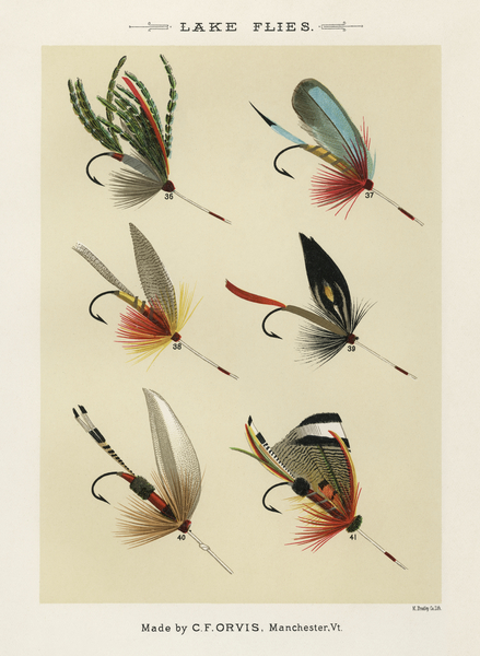 Lake Flies Print