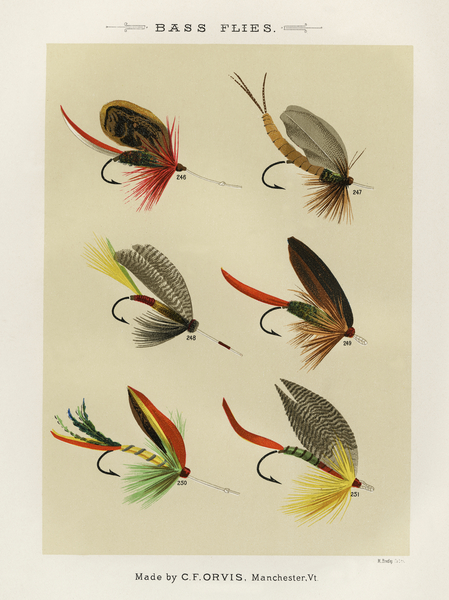  Mary Orvis Marbury Wildlife