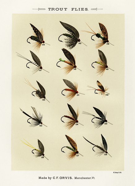 Trout Flies  Print