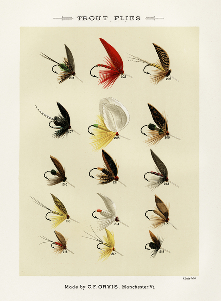 Trout Flies  Print