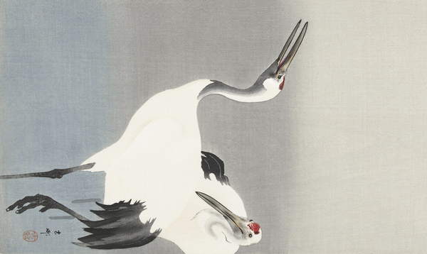Two cranes 1900-1930 by Ohara Koson 1877-1945. Print