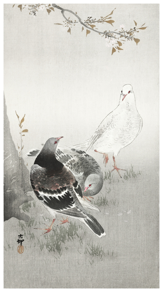 Three pigeons 1900-1930 by Ohara Koson 1877-1945. Print