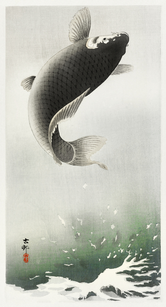 Leaping carp 1900 - 1930 by Ohara Koson 1877-1945. Print