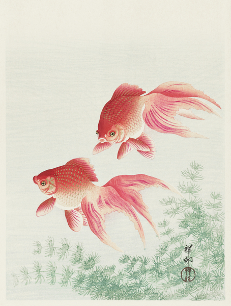 Two veil goldfish 1926 by Ohara Koson 1877-1945. Print