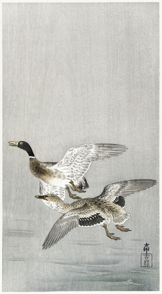 Couple of ducks 1900 - 1936 by Ohara Koson 1877-1945. Print
