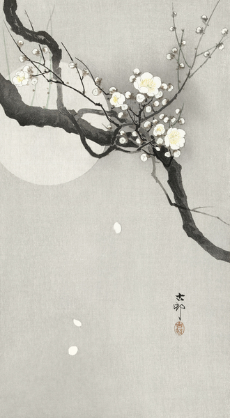 Plum blossom and full moon 1900 - 1936 by Ohara Koson 1877-1945. Print