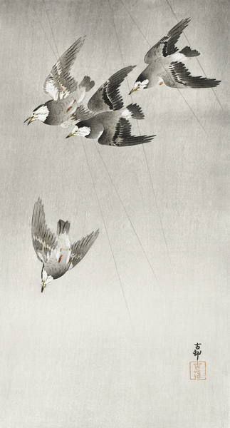 Starlings in the rain 1900 - 1930 by Ohara Koson 1877-1945. Print
