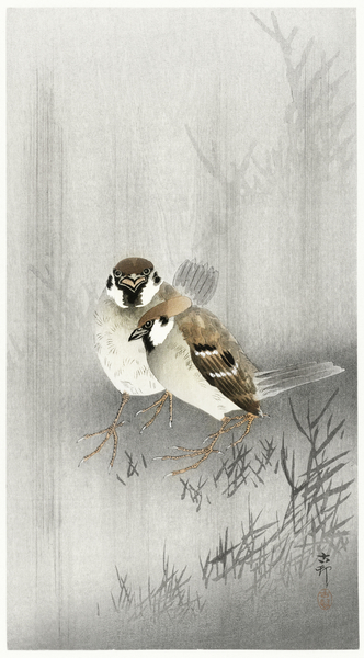 Two ring sparrows in the rain 1900 - 1930 by Ohara Koson 1877-1945. Print