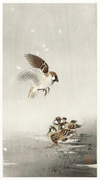 Tree sparrow with boy 1900 - 1936 by Ohara Koson 1877-1945. Print