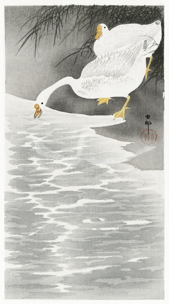 Geese on the shore 1900 - 1930 by Ohara Koson 1877-1945. Print