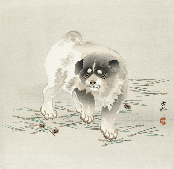 Young dog 1900 - 1930 by Ohara Koson 1877-1945. Print