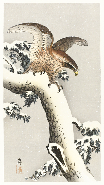 Eagle on a tree branch 1887 - 1930 by Ohara Koson 1877-1945. Print
