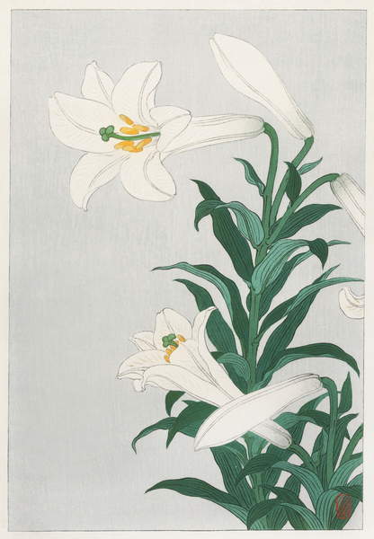 Lilies Ohara  1920 - 1930 by Ohara Koson 1877-1945. Print