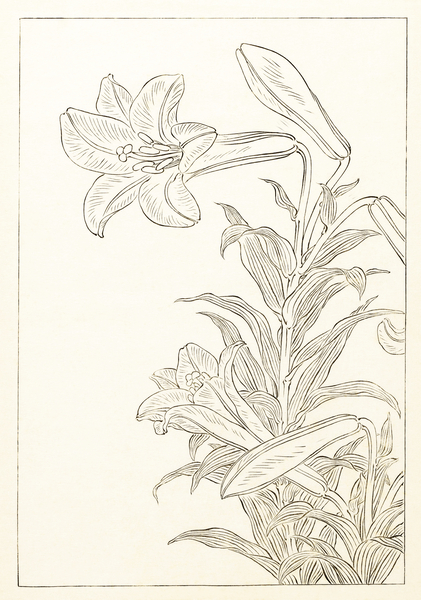 Rabbit at full moon 1900 - 1930 by Ohara Koson 1877-1945. Print