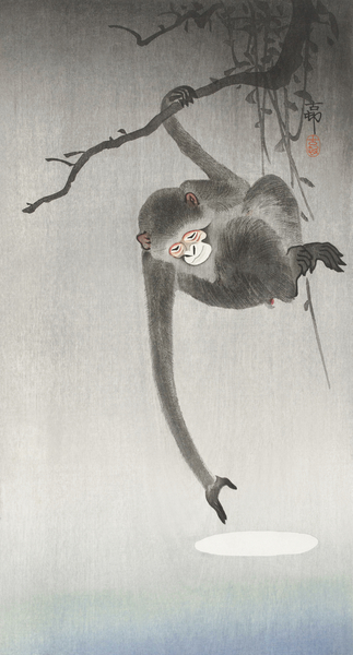 Monkey and reflection of the moon 1900 - 1936 by Ohara Koson 1877-1945. Print