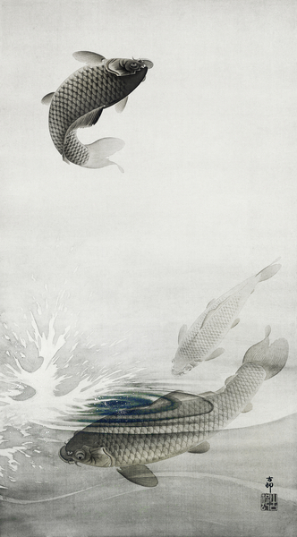Three carps 1877-1945 by Ohara Koson 1877-1945. Print