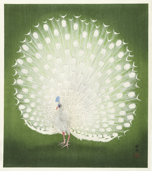 Peacock 1925 - 1936 by Ohara Koson 1877-1945. Print