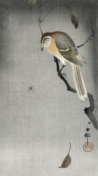 Buffalo wing shrike and spider 1900 - 1930 by Ohara Koson 1877-1945. Print