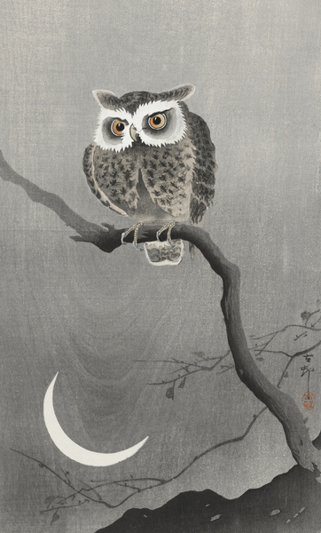 Long-eared owl on bare tree branch 1900 - 1930 by Ohara Koson 1877-1945. Print