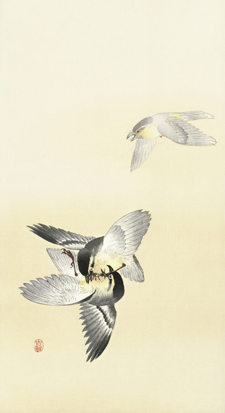 Two fighting birds 1900 - 1936 by Ohara Koson 1877-1945. Print