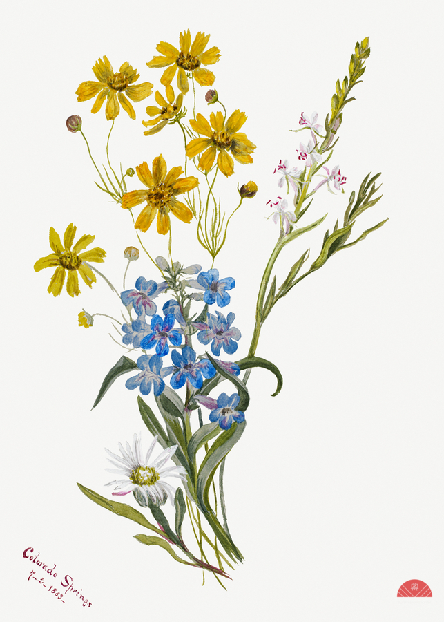 Group of Flowers 1883  Print