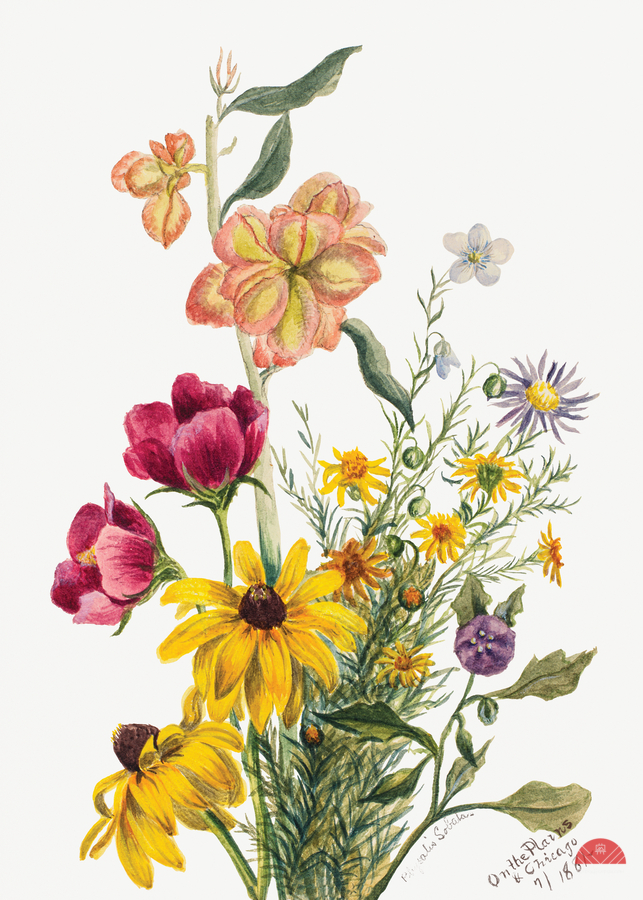 Group of Flowers 1881  Print