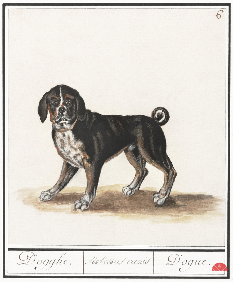 Dog in vintage style  Print