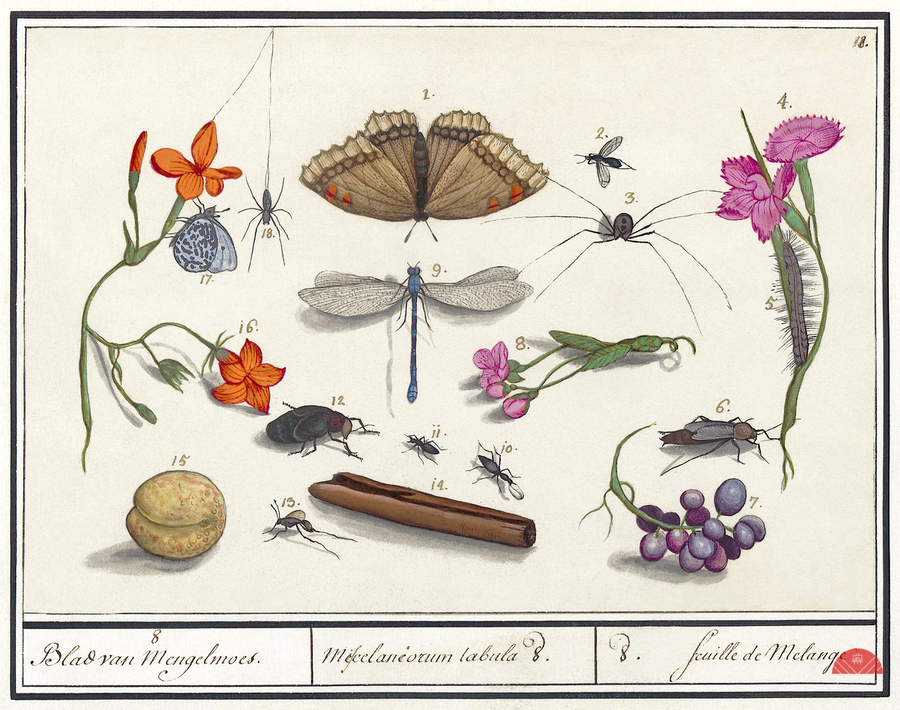 Nature ensemble in vintage style  Print