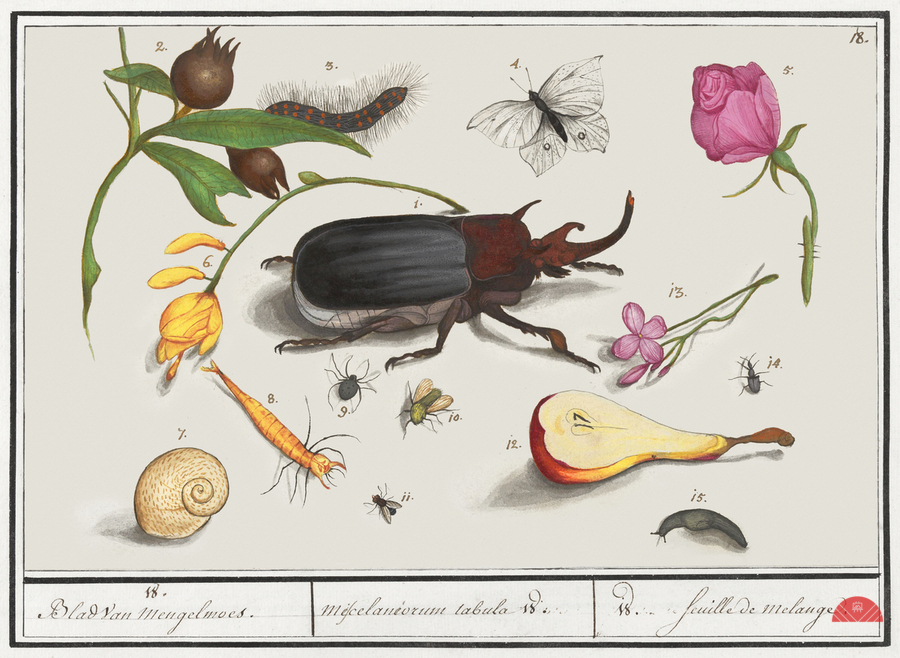 Nature ensemble in vintage style  Print