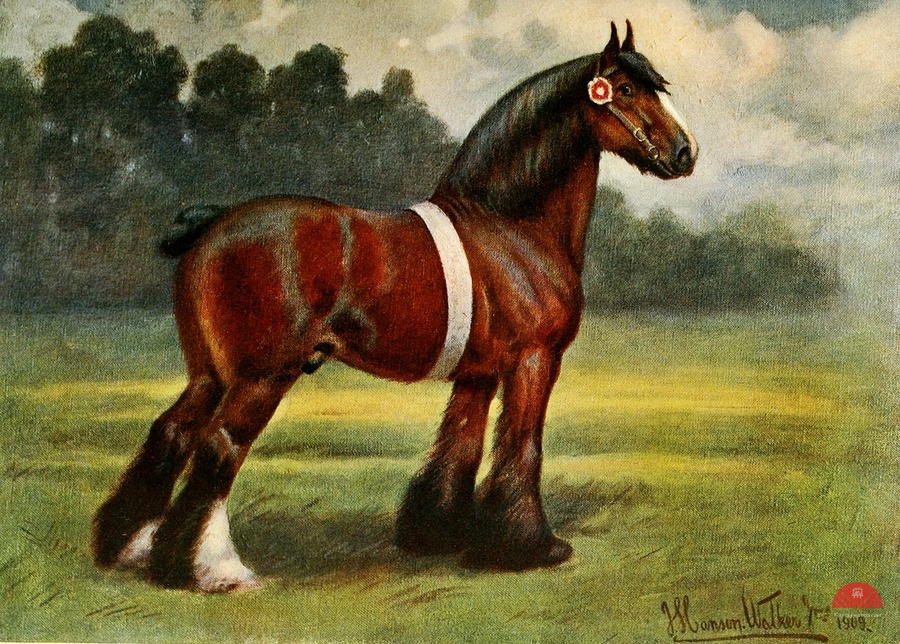 Shire Stallion Halstead Royal Duke John Hanson Walker Jr. English 1844-1933  Print
