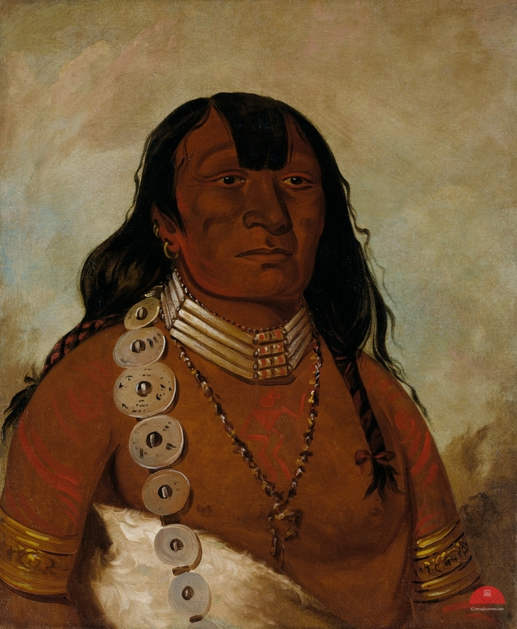 Téh-Tóot-Sah Better Known As Tohausen Little Bluff First Chief 1834  Print