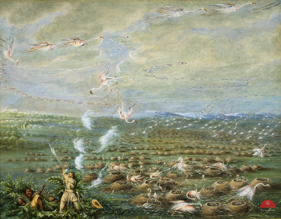 Flamingo Shooting in South America 1856  Print