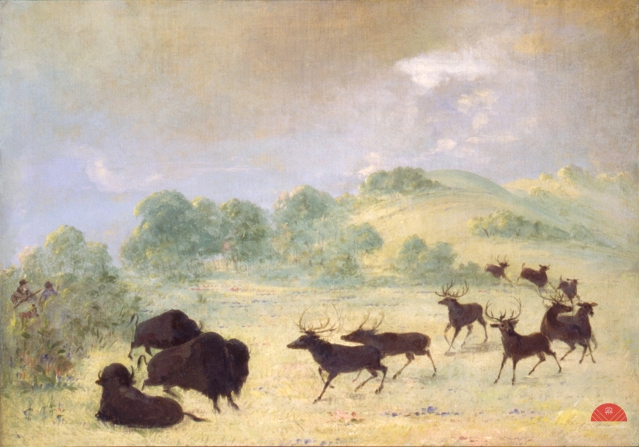 Elk and Buffalo Making Acquaintance Texas 1846-1848  Print