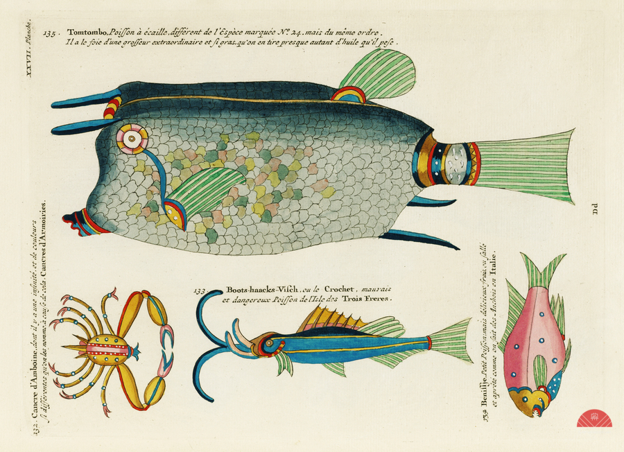 Colourful and surreal illustrations of fishes and crab found in Moluccas Indonesia and the East Indies by Louis Renard 1678 -1746 from Histoire naturelle des plus rares curiositez de la mer des Indes 1754.  Print