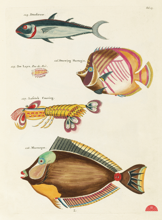 Colourful and surreal illustrations of fishes and lobster found in Moluccas Indonesia and the East Indies by Louis Renard 1678 -1746 from Histoire naturelle des plus rares curiositez de la mer des Indes 1754.  Print